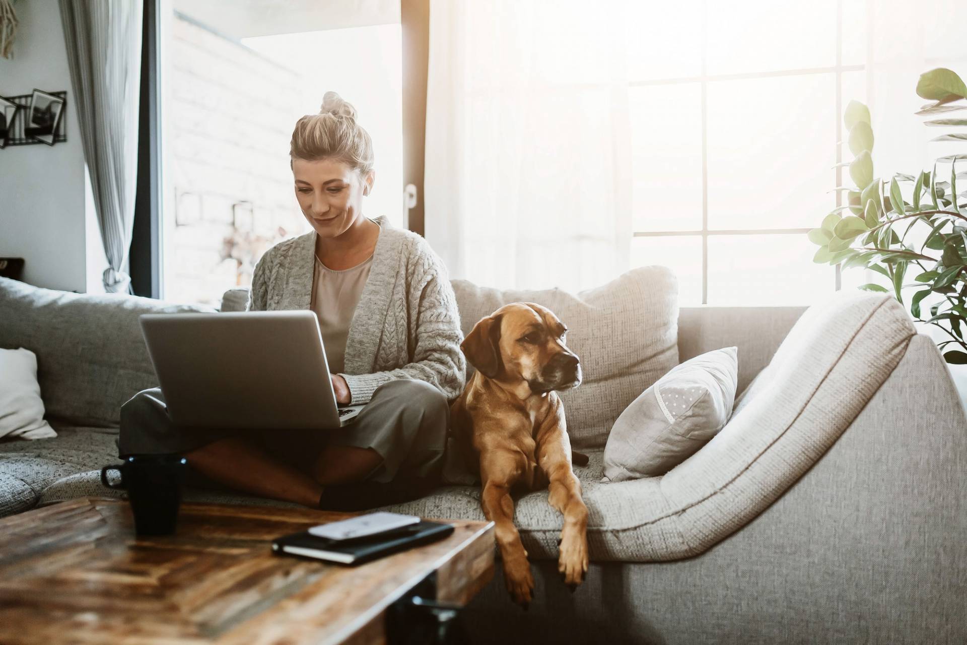 B2B marketeer by laptop in a sofa.